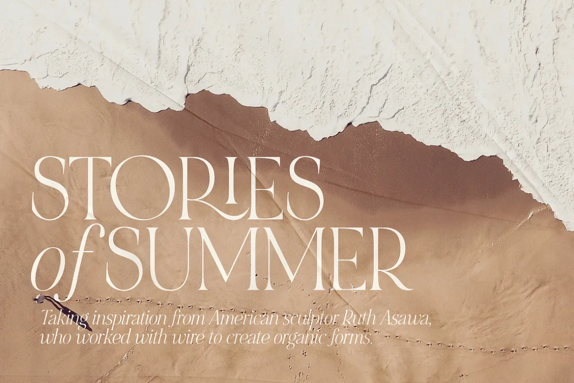 NOIR et BLANC Stylish Serif
