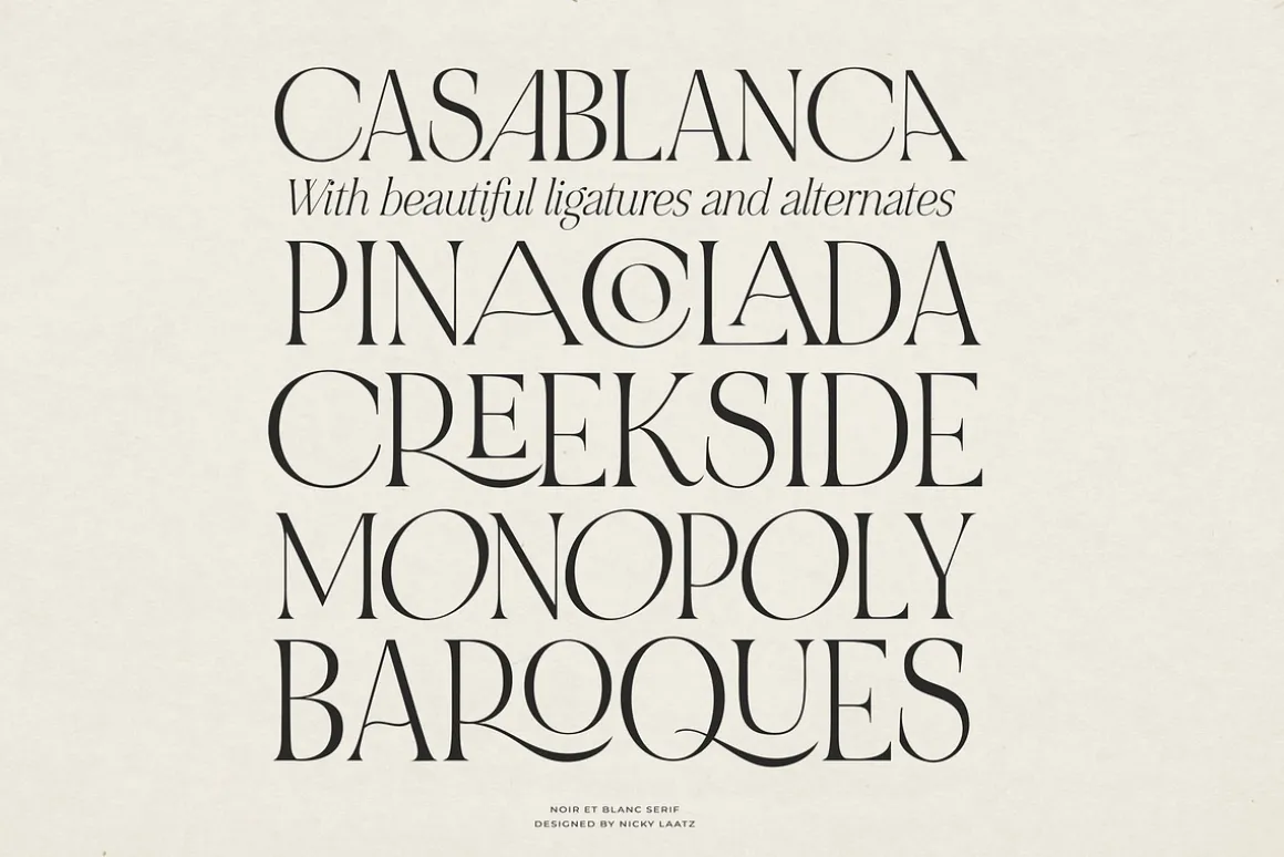 NOIR et BLANC Stylish Serif