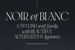 NOIR et BLANC Stylish Serif