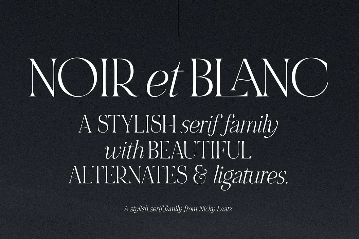 NOIR et BLANC Stylish Serif