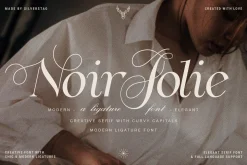 Noir Jolie - Modern Ligature Serif