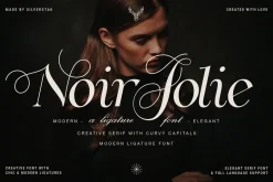 Noir Jolie - Modern Ligature Serif