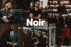 25 Noir Lightroom Presets and LUTs