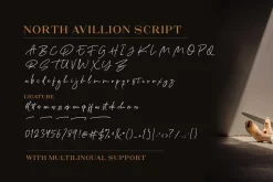 North Avellion - Script & Serif Duo