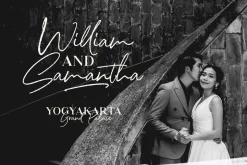 North Avellion - Script & Serif Duo