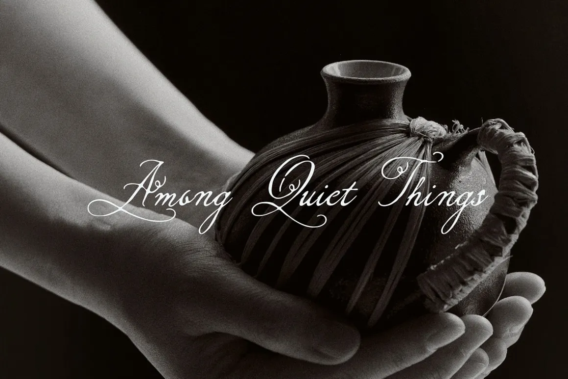 North Elm - Decorative Script Font