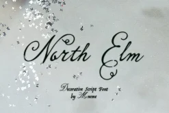 North Elm - Decorative Script Font