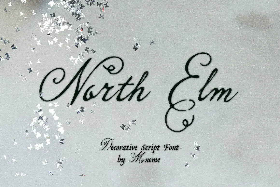 North Elm - Decorative Script Font