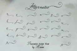 North Elm - Decorative Script Font