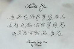 North Elm - Decorative Script Font