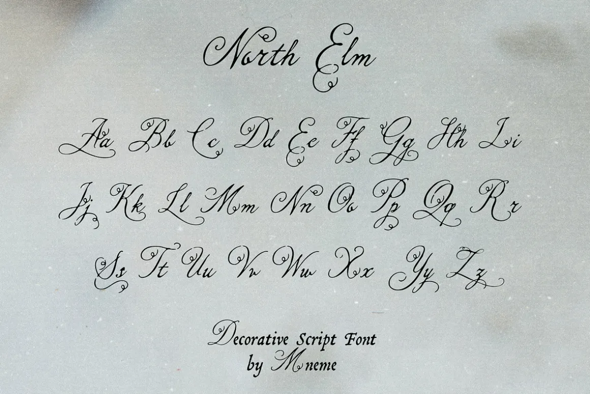 North Elm - Decorative Script Font