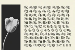 Northvale Blackletter Serif Font