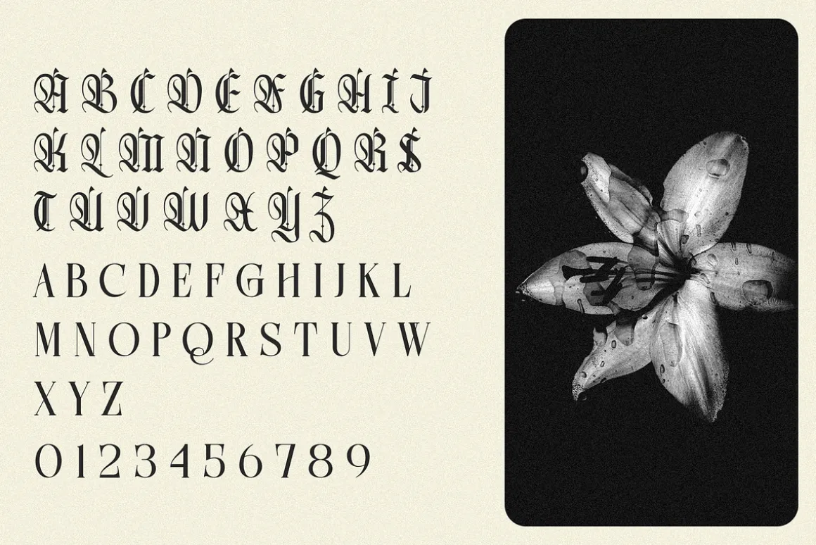 Northvale Blackletter Serif Font