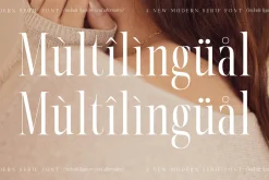 Nortine A New Modern Serif Font