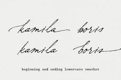 Nostalgia // Vintage Script Font