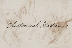 Nostalgia // Vintage Script Font