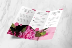 Nounsa Trifold Brochure