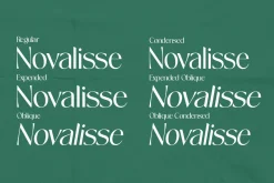 Novalisse