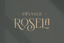 Novante | Display Serif