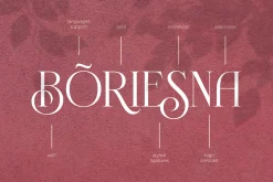 Novante | Display Serif