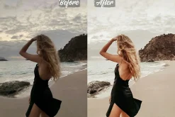 Nude Preset For Mobile and Desktop