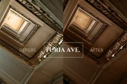 Nude Tones Lightroom Mobile Presets