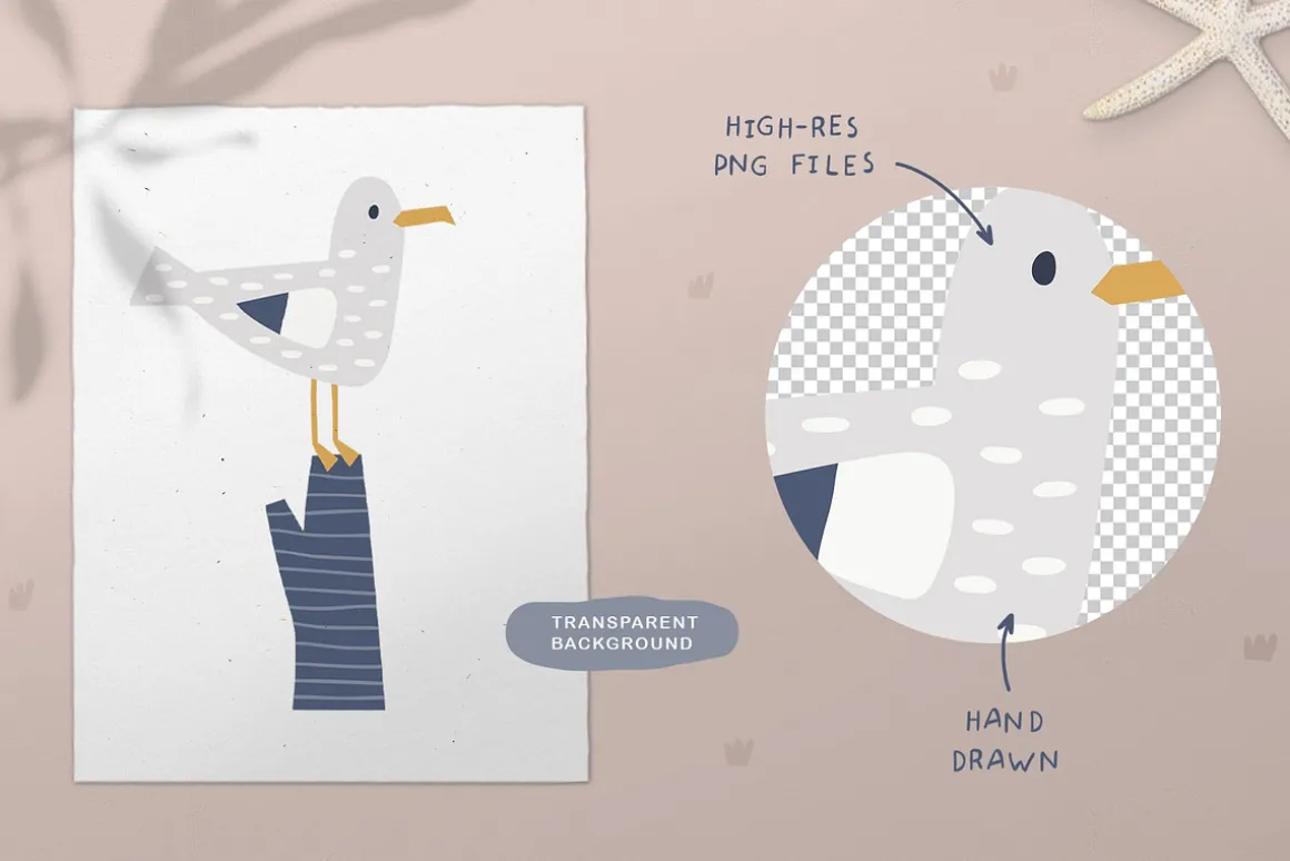 Ocean Life. Nautical Illustrations.