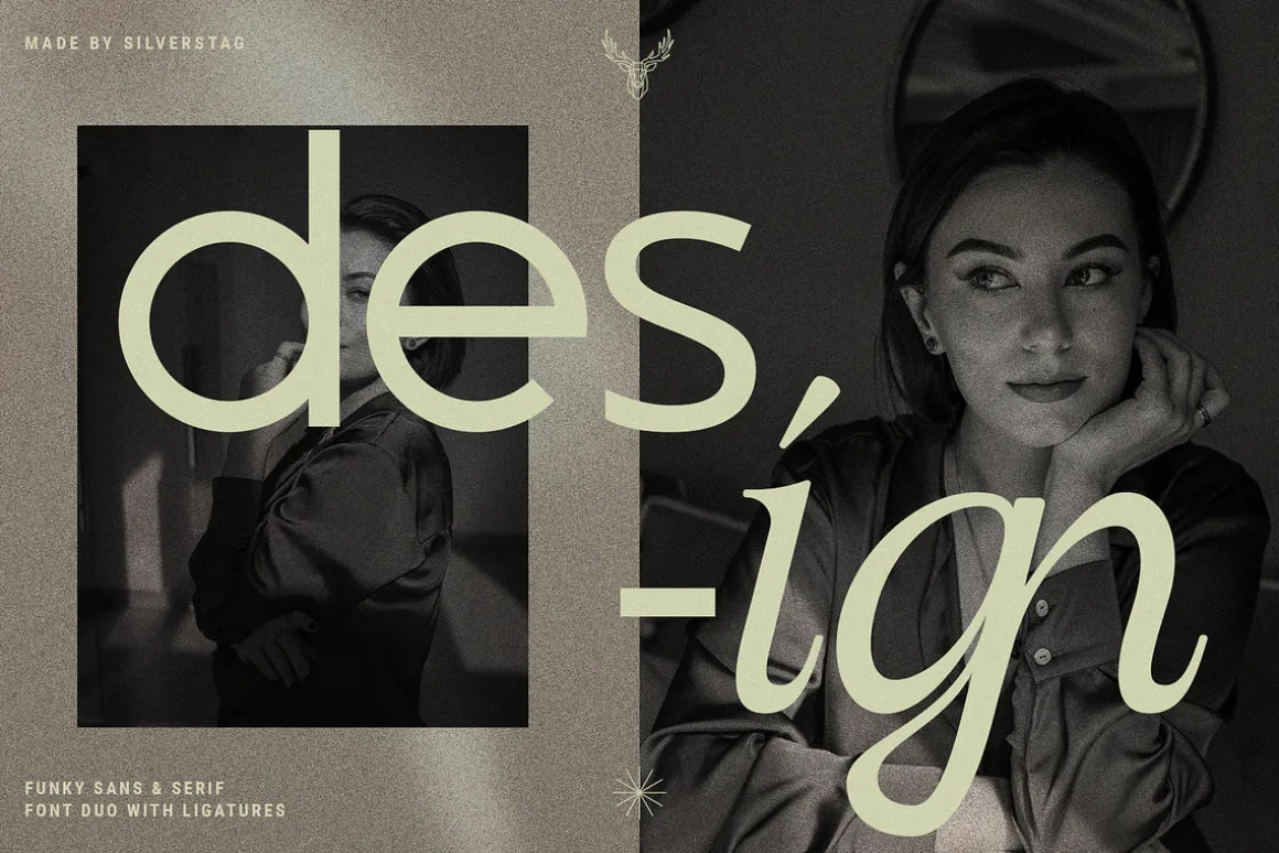 Officially Funky - Modern Font Duo