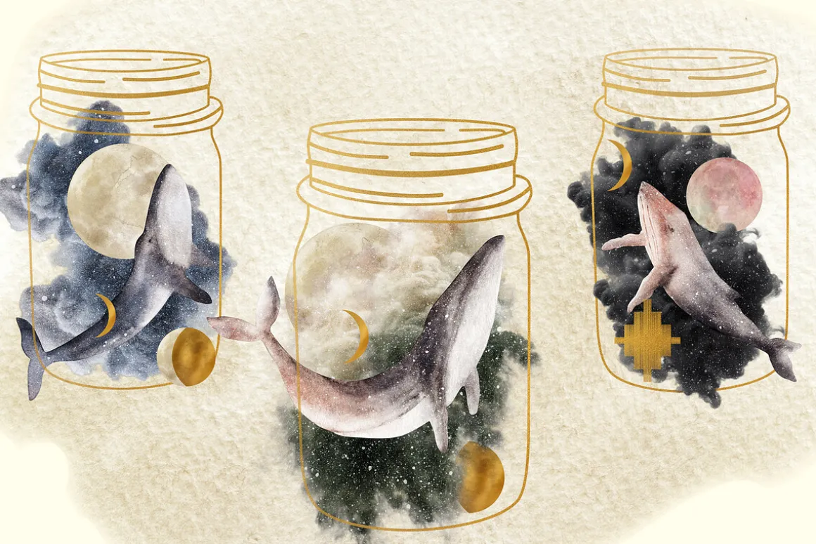 20% OFF! Mystical Whales