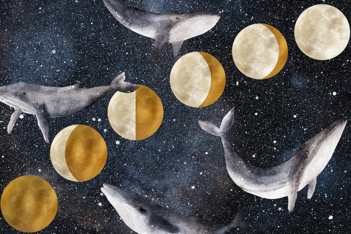 20% OFF! Mystical Whales