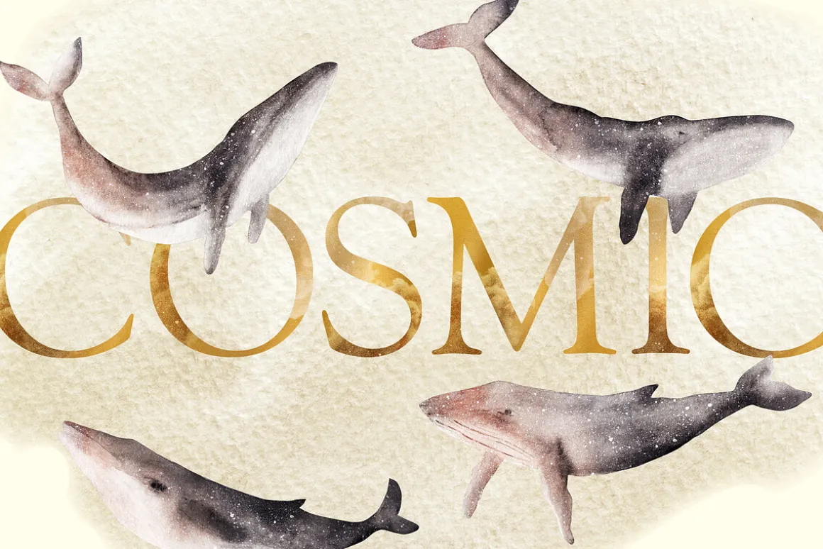 20% OFF! Mystical Whales