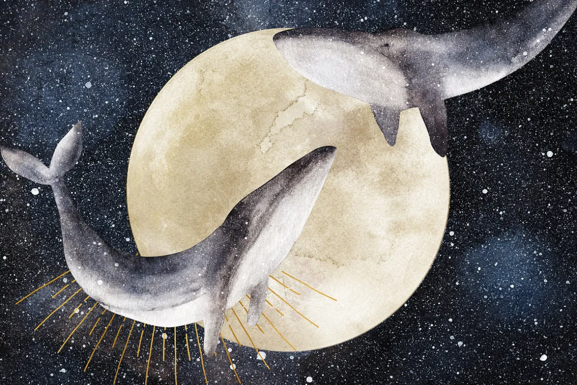20% OFF! Mystical Whales