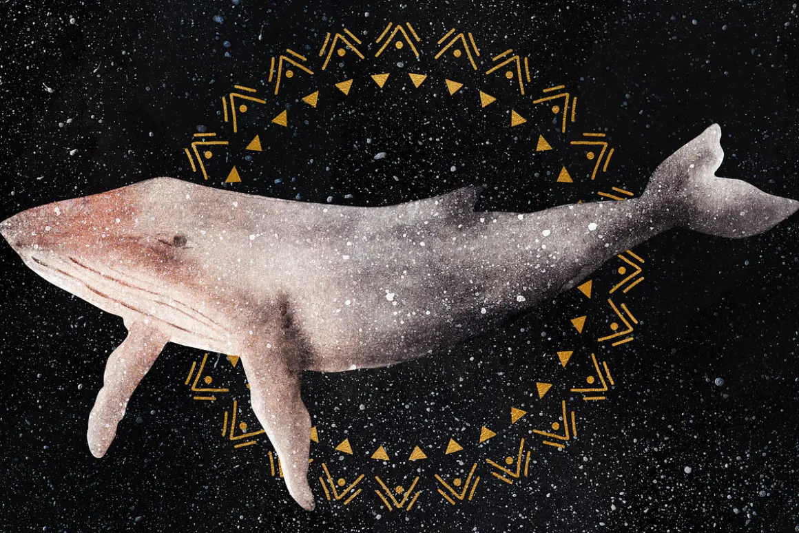 20% OFF! Mystical Whales
