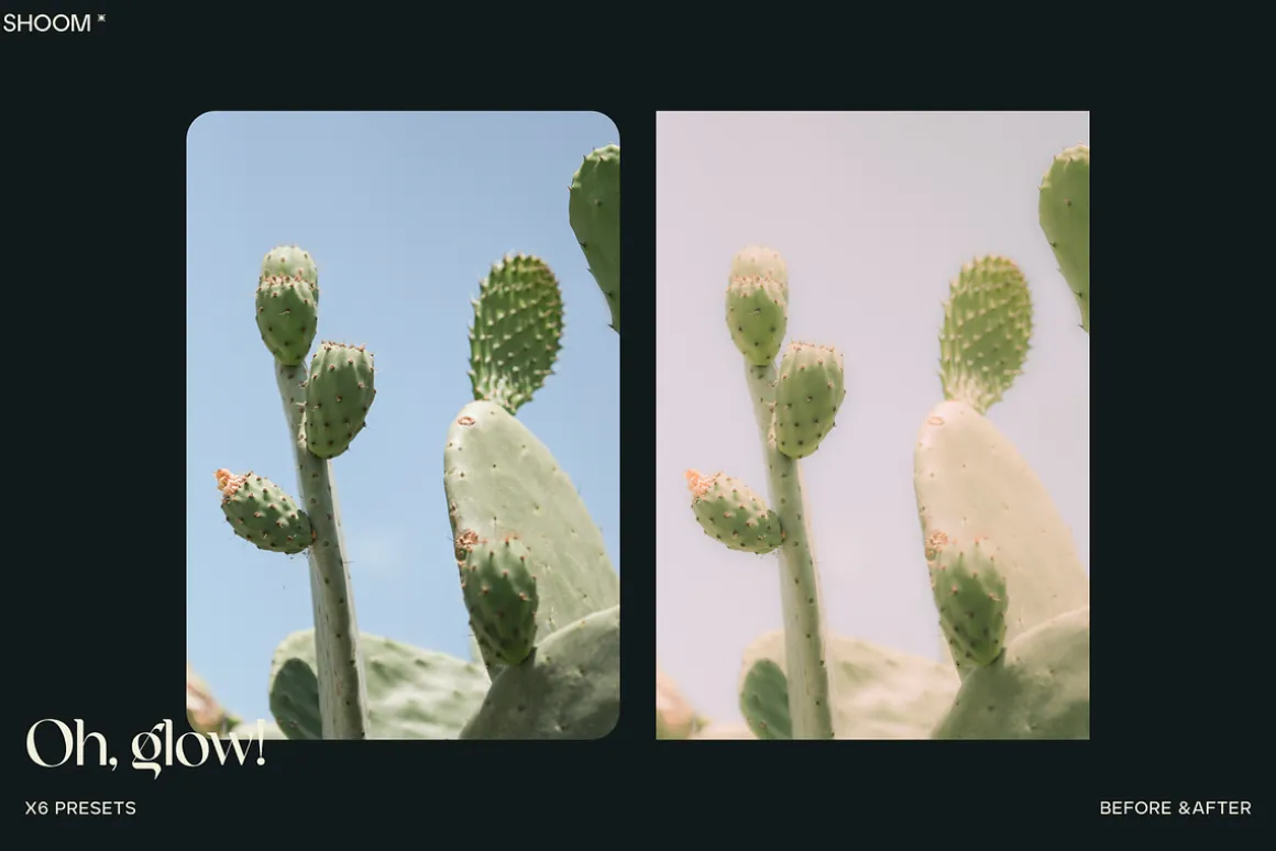 Oh, Glow! Lightroom Presets