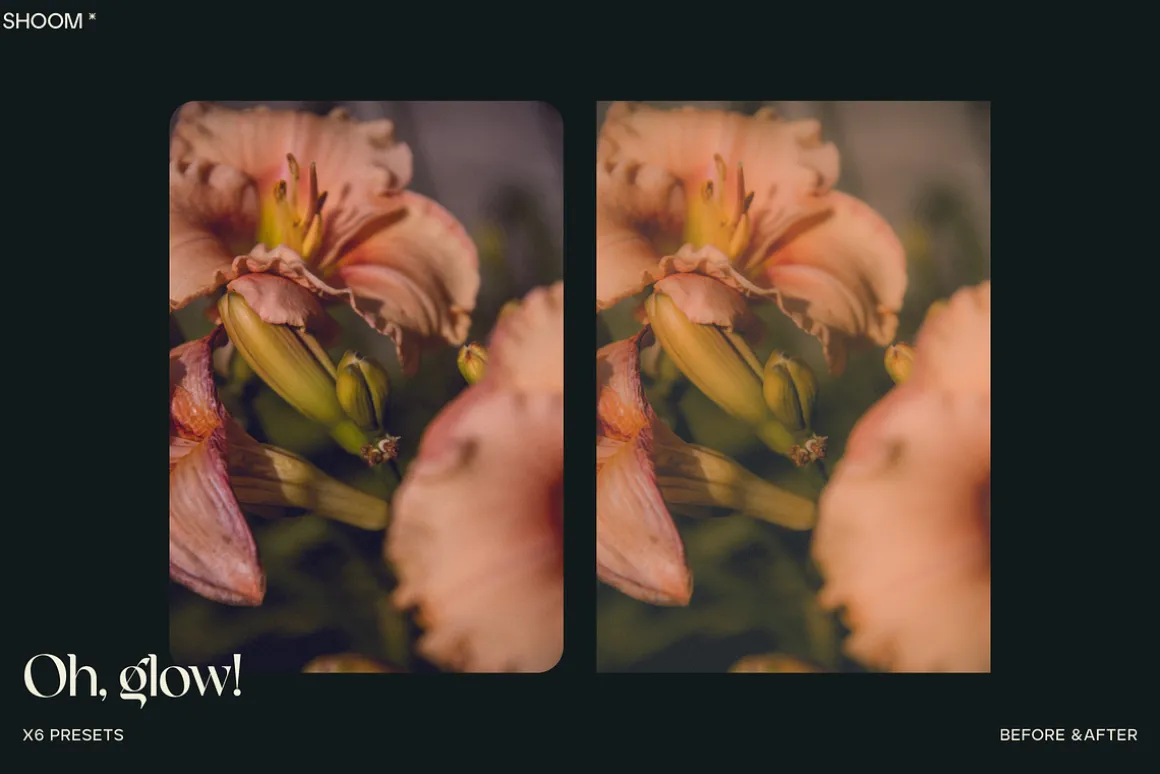 Oh, Glow! Lightroom Presets