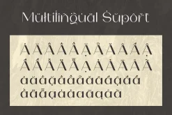 Olarwe - Modern Sans Serif