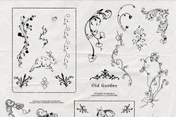 Old Garden: Botanical Linework