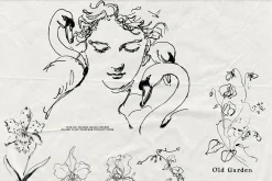 Old Garden: Botanical Linework