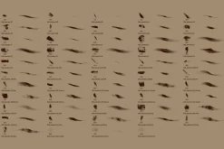 Old Masters Brush Set