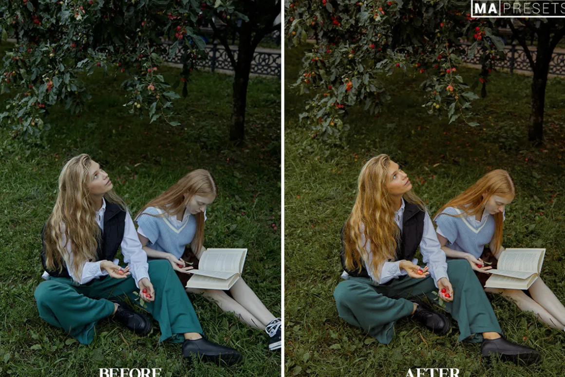10 OLD MONEY FILM Lightroom Presets
