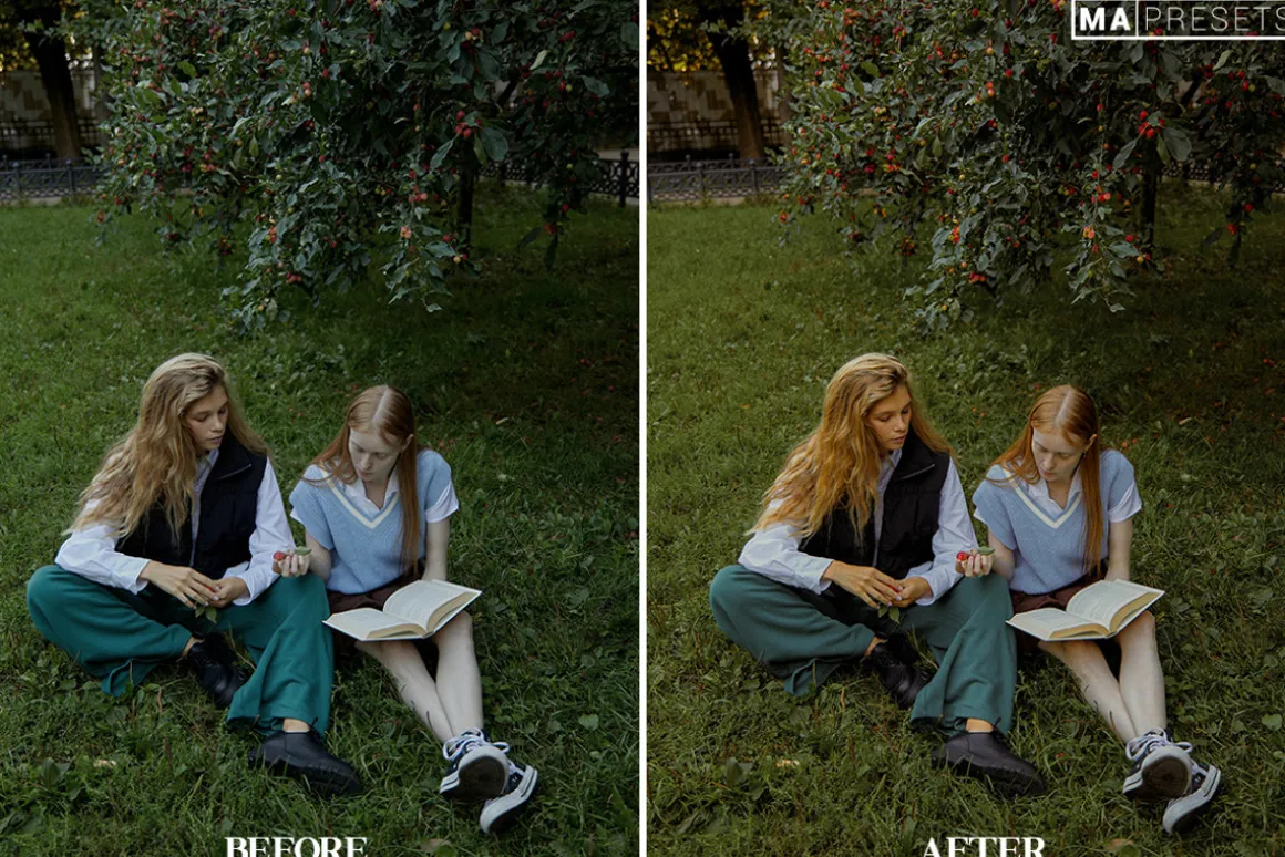 10 OLD MONEY FILM Lightroom Presets