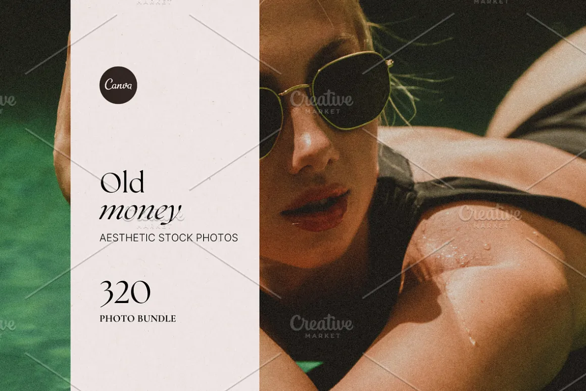 Old Money Stock Photo Bundle