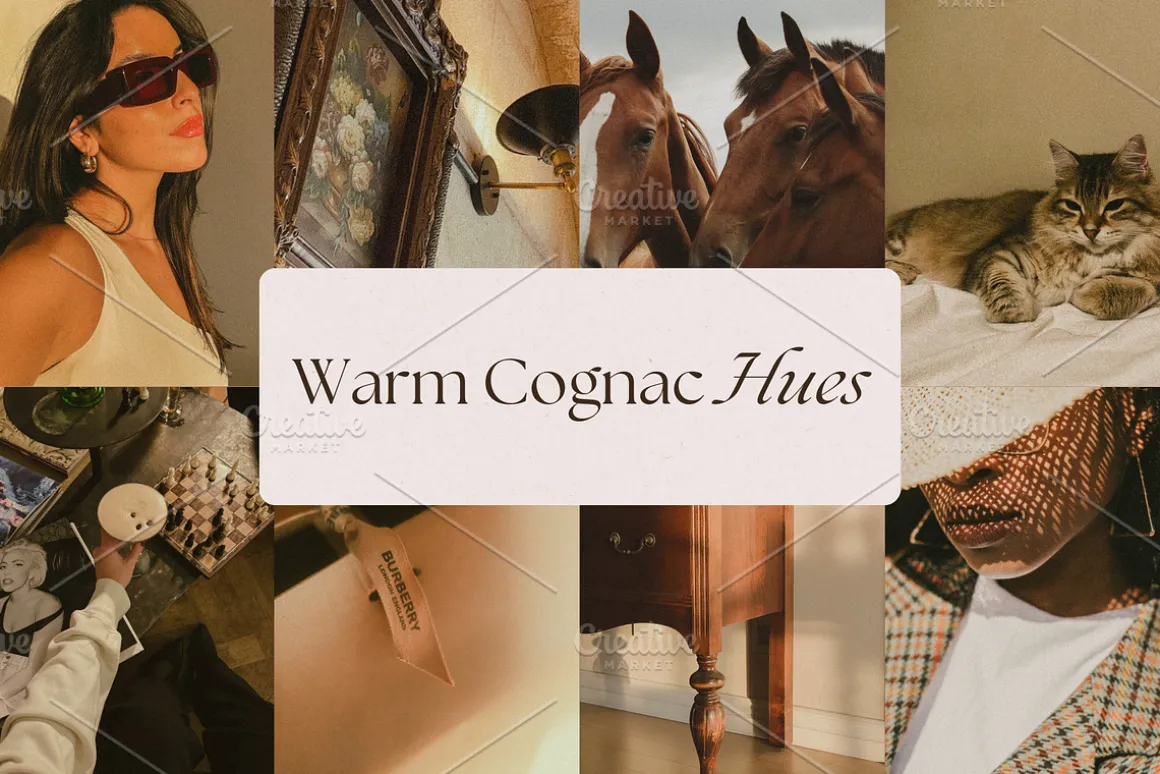 Old Money Stock Photo Bundle
