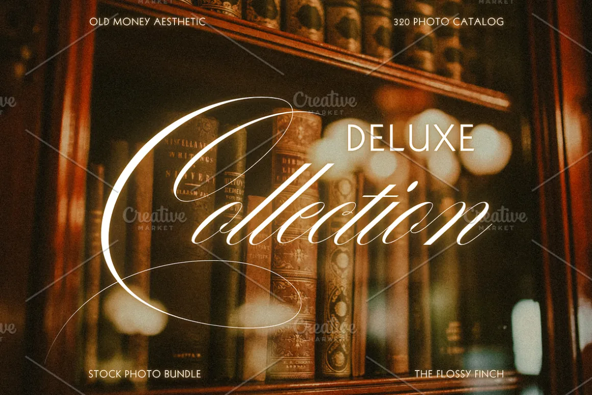 Old Money Stock Photo Bundle
