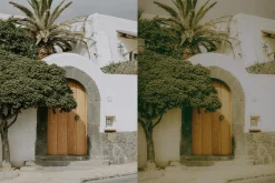 OLD SCHOOL FILM LIGHTROOM PRESETS