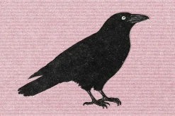 Old Screen Print Effect