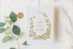 Olive leaves. Laurel frame & wreath