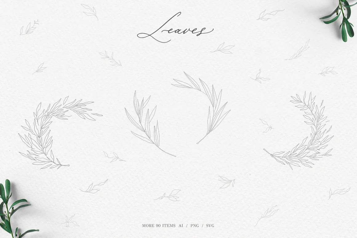 Olive leaves. Laurel frame & wreath