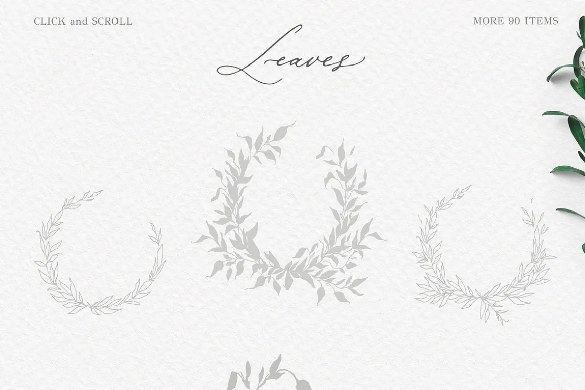 Olive leaves. Laurel frame & wreath
