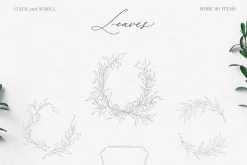 Olive leaves. Laurel frame & wreath